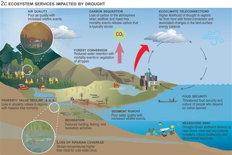  Hamoun Lake Ecological Disaster: A Consequence of Unsustainable Water Use and Climate Change